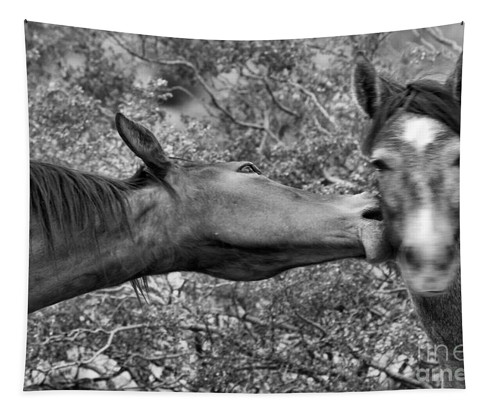 Wild Horse Tapestry featuring the photograph Wild Love Bites Black And White by Adam Jewell