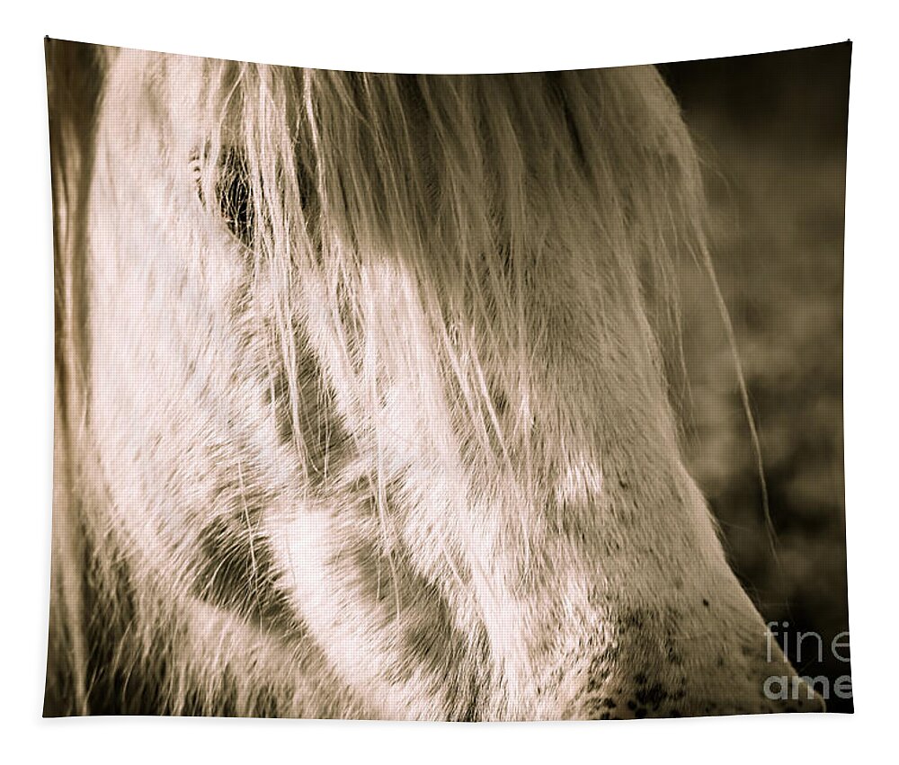 Missouri Ozarks Tapestry featuring the photograph Wild Missouri Mare by Lynn Sprowl