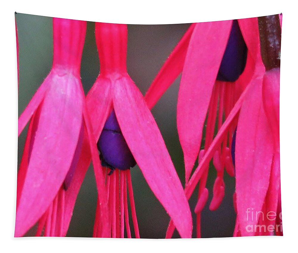 Fuchsia Tapestry featuring the photograph Wild Oregon Fuchsia by Michele Penner