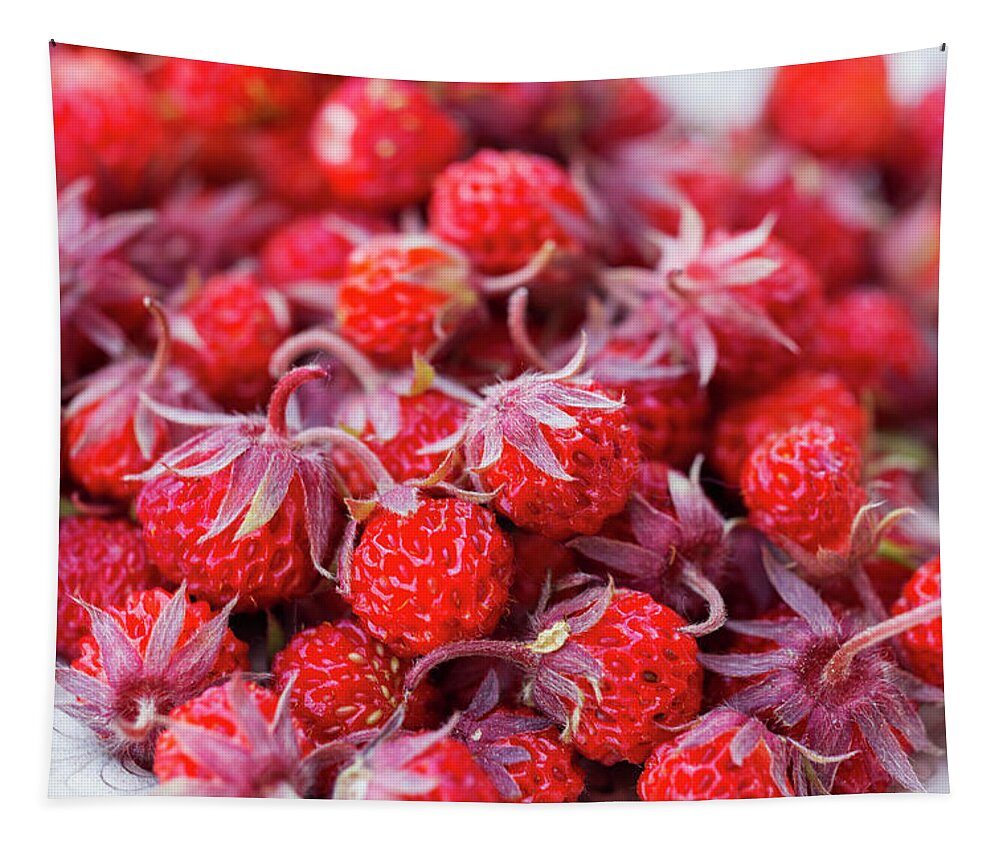 Virginia Strawberry Tapestry featuring the photograph Wild strawberry by Mircea Costina Photography
