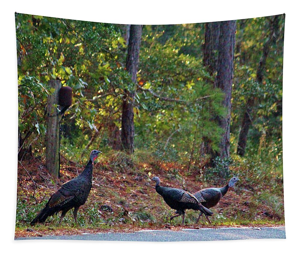 Bird Tapestry featuring the photograph Wild Turkeys by Cynthia Guinn