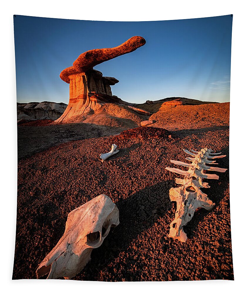Amaizing Tapestry featuring the photograph Wild Wild West by Edgars Erglis