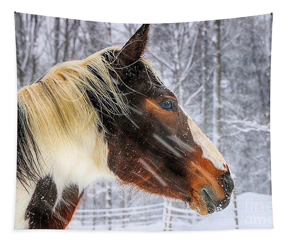 Horse Tapestry featuring the photograph Wild Winter Storm by Elizabeth Dow