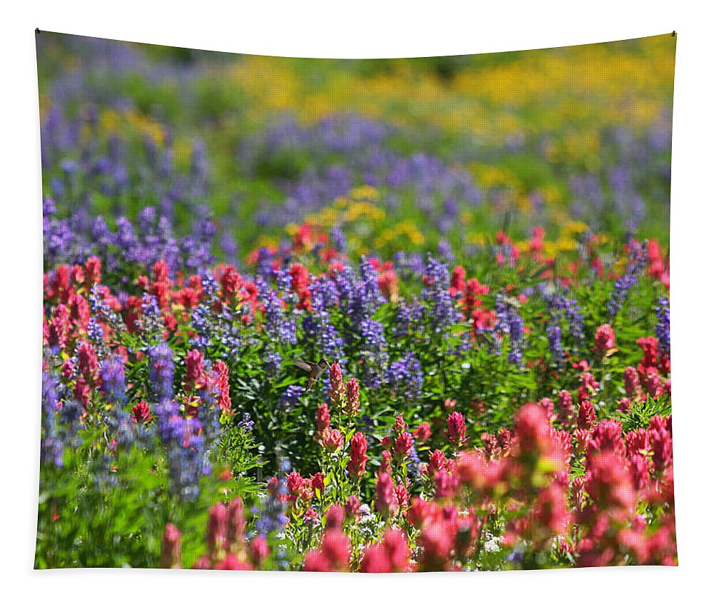 Wildflower Tapestry featuring the photograph Wildflower Meadow and Hummingbird by Brett Pelletier