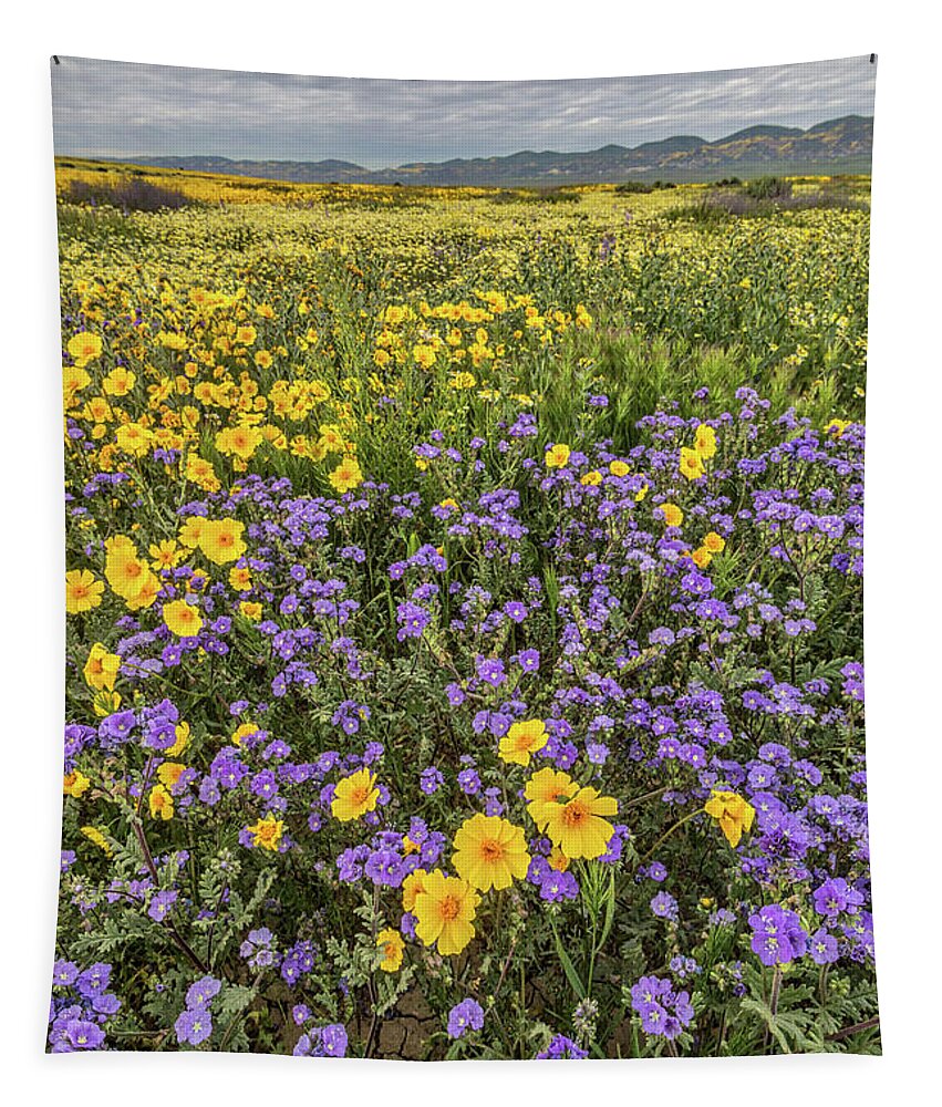 Blm Tapestry featuring the photograph Wildflower Super Bloom by Peter Tellone
