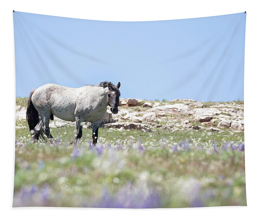 Wild Tapestry featuring the photograph Wildflowers and Mustang by Eilish Palmer