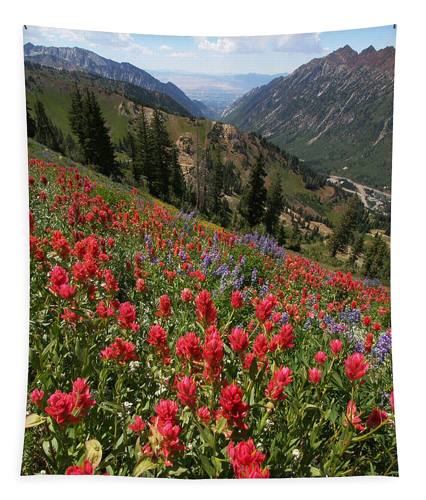 Landscape Tapestry featuring the photograph Wildflowers and View Down Canyon by Brett Pelletier