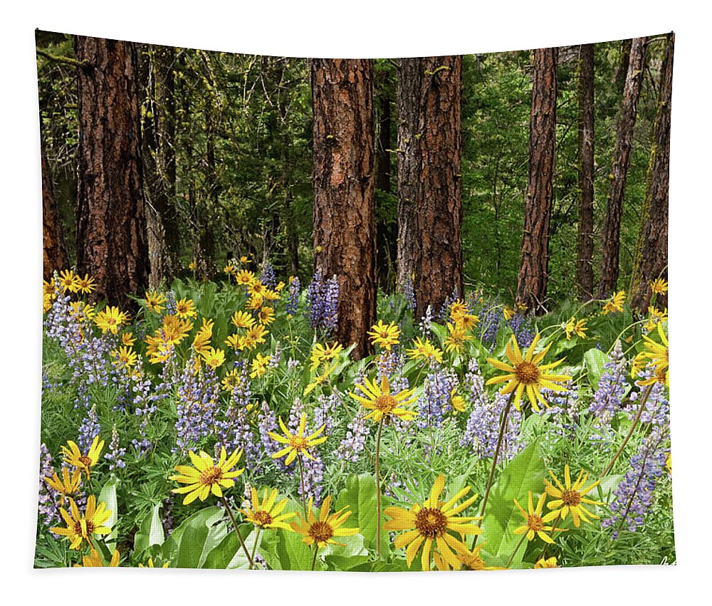 Arrowleaf Balsamroot Tapestry featuring the photograph Balsamroot and Lupine in a Ponderosa Pine Forest by Jeff Goulden