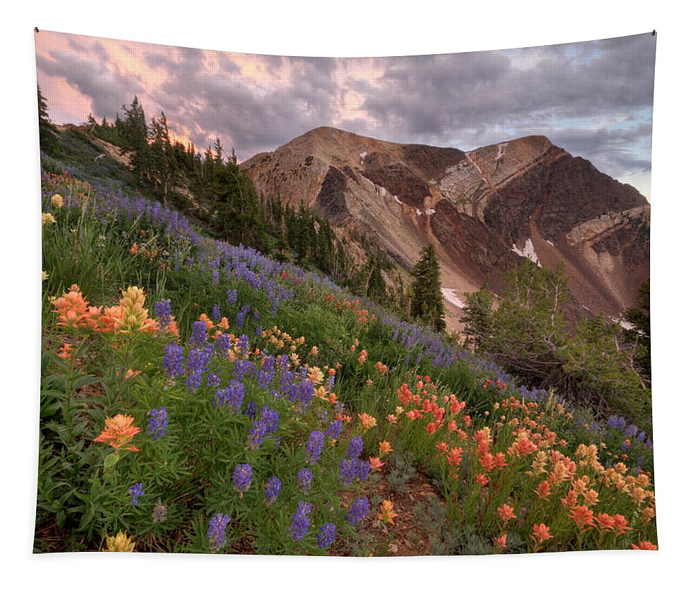 Landscape Tapestry featuring the photograph Wildflowers with Twin Peaks at Sunset by Brett Pelletier