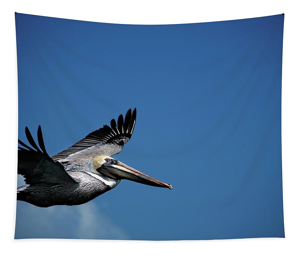 Birds Tapestry featuring the photograph Wildlife in Mexico by Robert Grac
