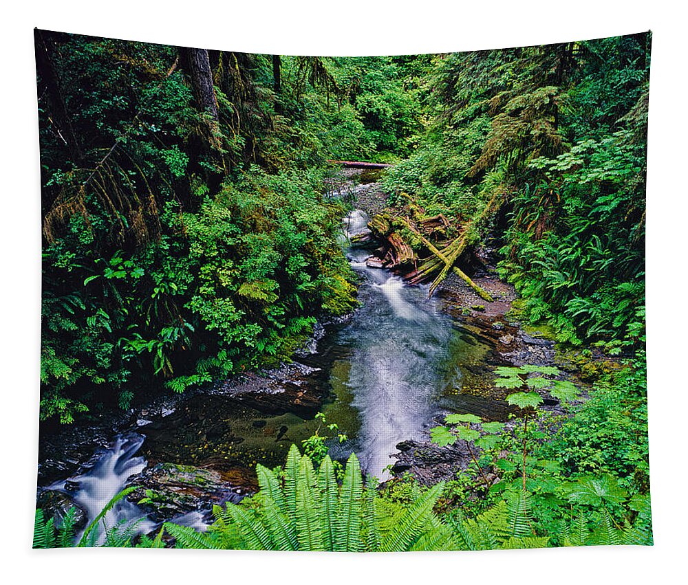Willaby Creek Tapestry featuring the photograph Willaby Creek 1993 by Tim Rayburn