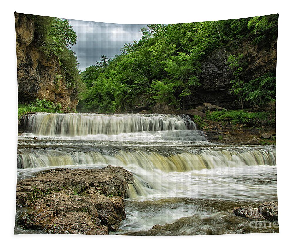 Waterfalls Tapestry featuring the photograph Willow Falls Willow River State Park Hudson Wisconsin by Wayne Moran