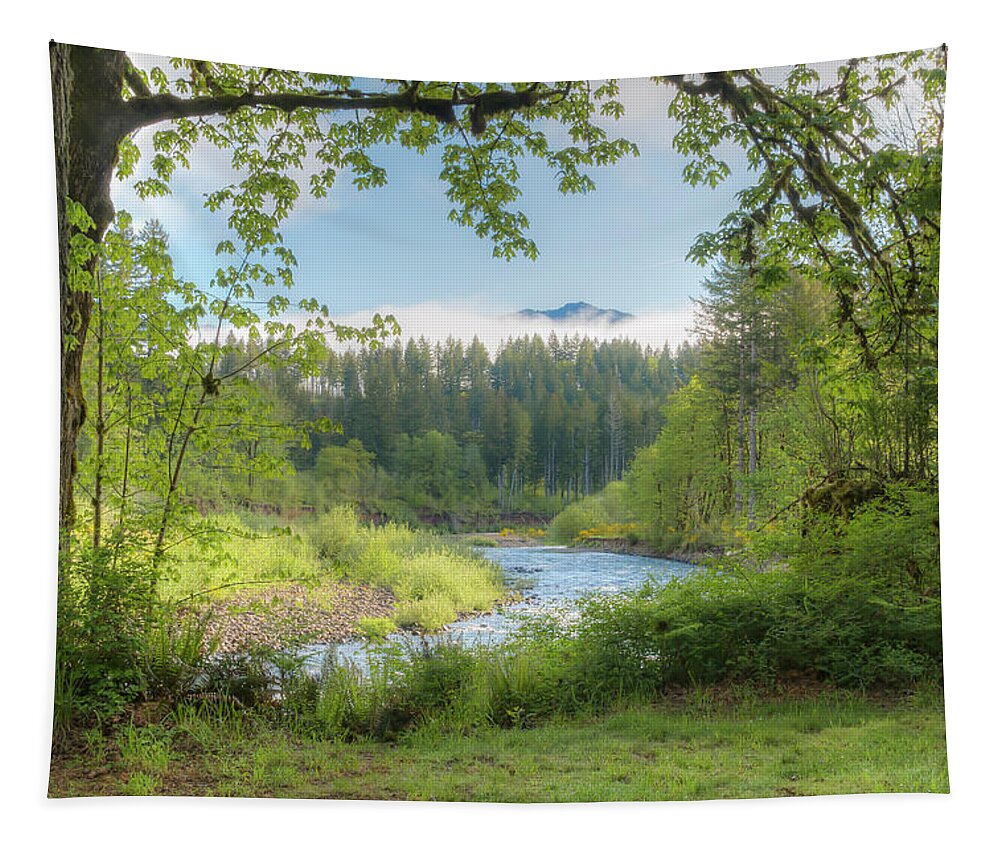 Wilson River Tapestry featuring the photograph Wilson River in Spring by Kristina Rinell