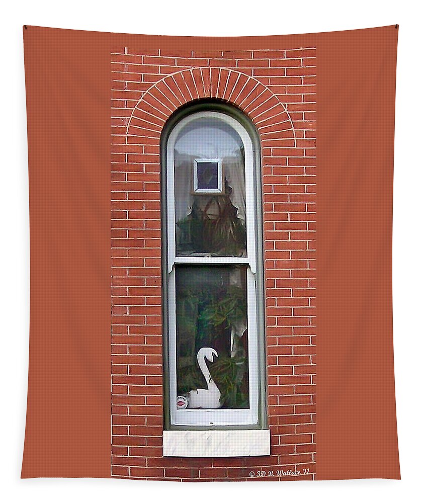 2d Tapestry featuring the photograph Window Dressing by Brian Wallace