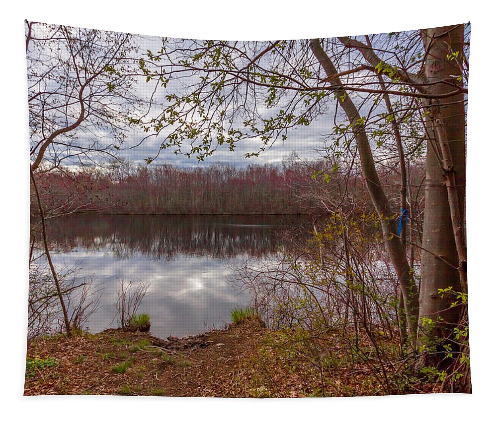 Milton Tapestry featuring the photograph Window to the Pond by Brian MacLean