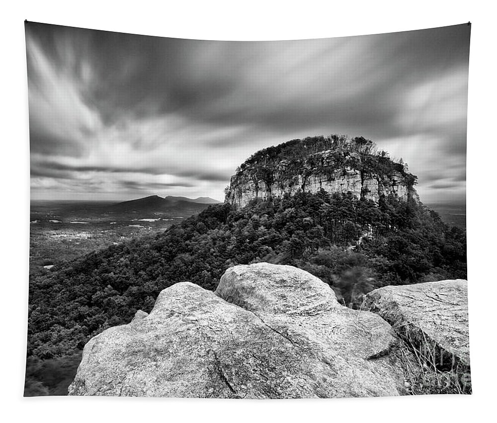 Black And White Tapestry featuring the photograph Windy Day by Patrick Lynch