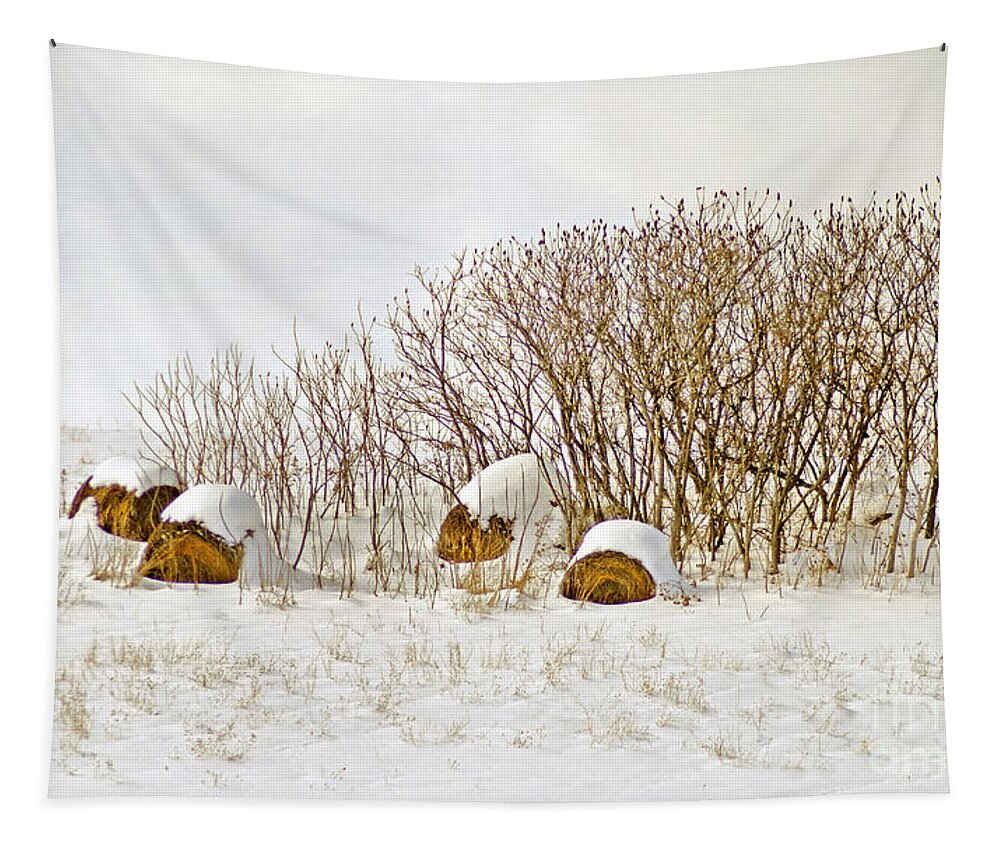 Hay Tapestry featuring the photograph Winter Beauty by Deborah Benoit