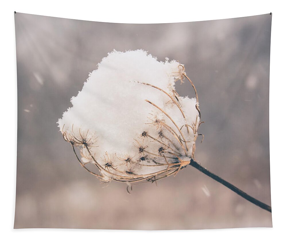 Nature Tapestry featuring the photograph Winter Beauty by Viviana Nadowski