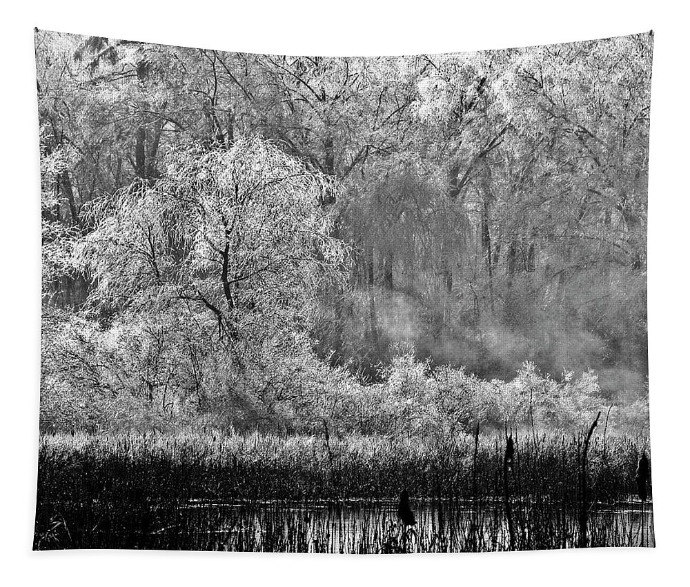 New England Tapestry featuring the photograph Winter Blossoms by Frank Winters