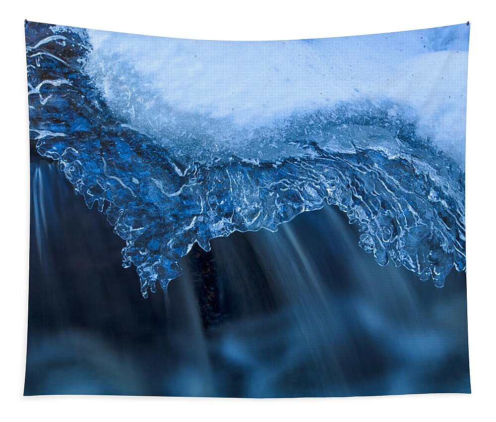 Blue Mountain- Birch Cove Lakes Wilderness Tapestry featuring the photograph Winter Brook Details#2 by Irwin Barrett