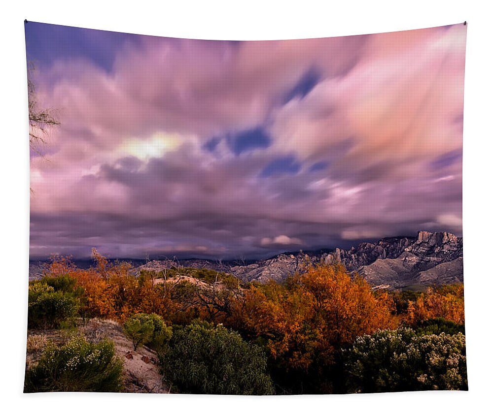 Oro Valley Tapestry featuring the photograph Winter Colors 25 by Mark Myhaver
