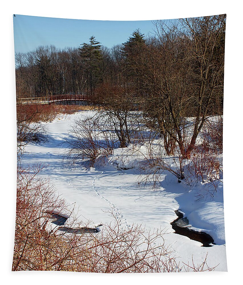 Winter Tapestry featuring the photograph Winter Creek Lined With Red Osea Dogwood by Barbara McMahon