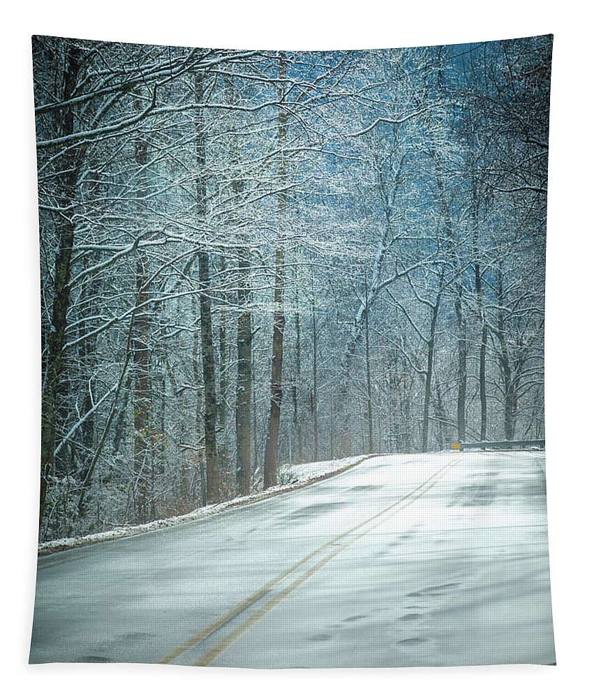 Winter Dreams Tapestry featuring the photograph Winter Dreams by Karen Wiles