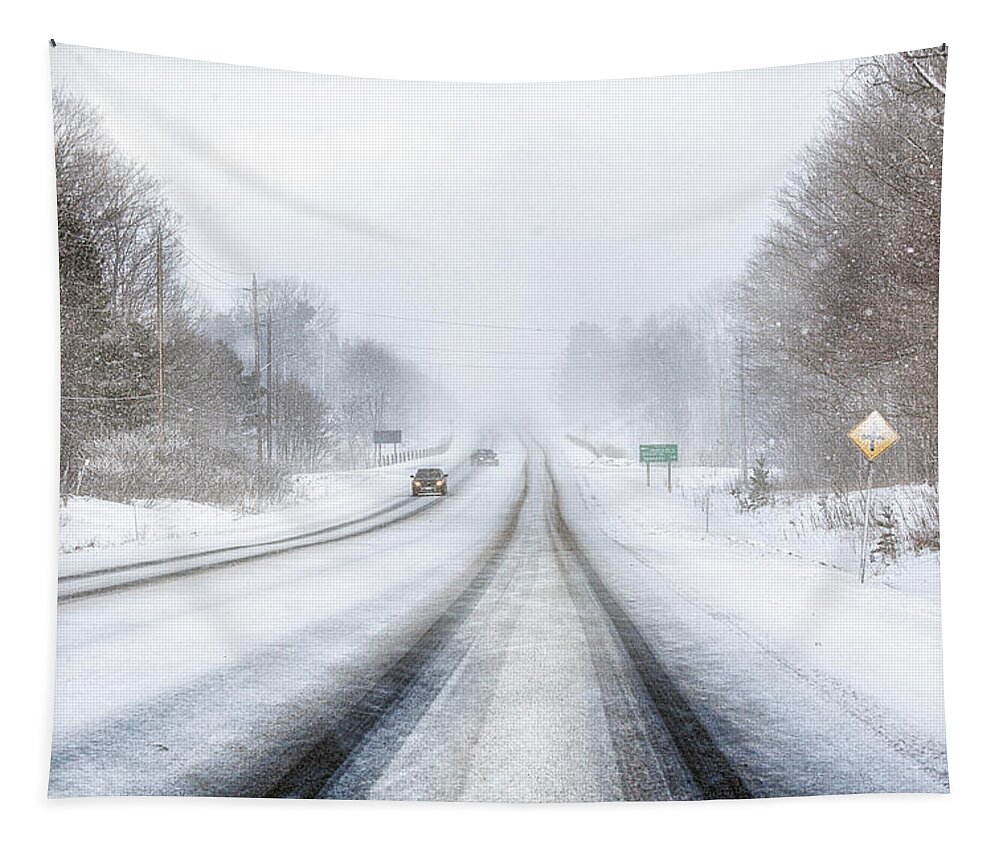 Winter Tapestry featuring the photograph Winter driving in Canada by Tatiana Travelways