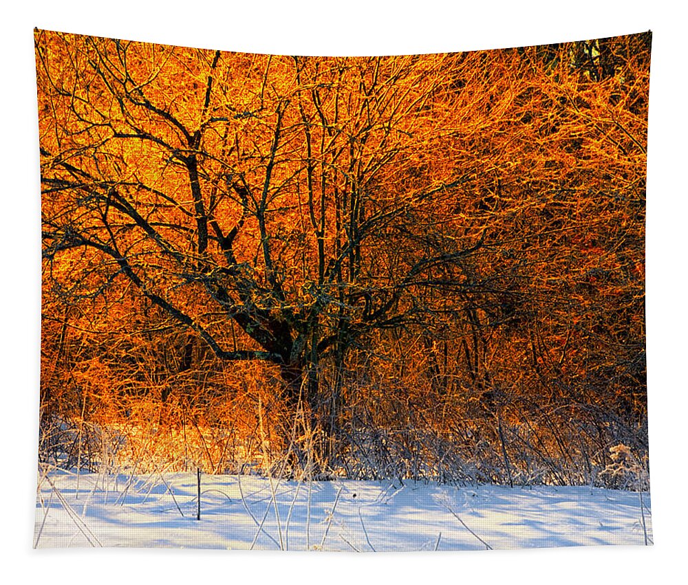 Winter Landscape Tapestry featuring the photograph Winter Fire by Irwin Barrett