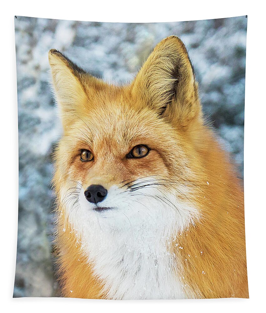 Red Fox Tapestry featuring the photograph Winter Fox Portrait by Mindy Musick King