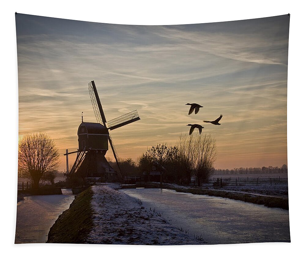 Dutch Tapestry featuring the photograph Winter in Holland-1 by Casper Cammeraat