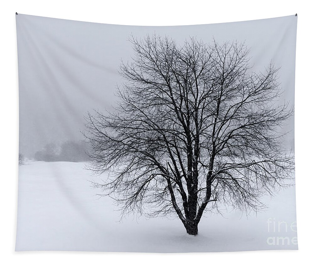 Winter Tapestry featuring the photograph Winter in New England by David Rucker