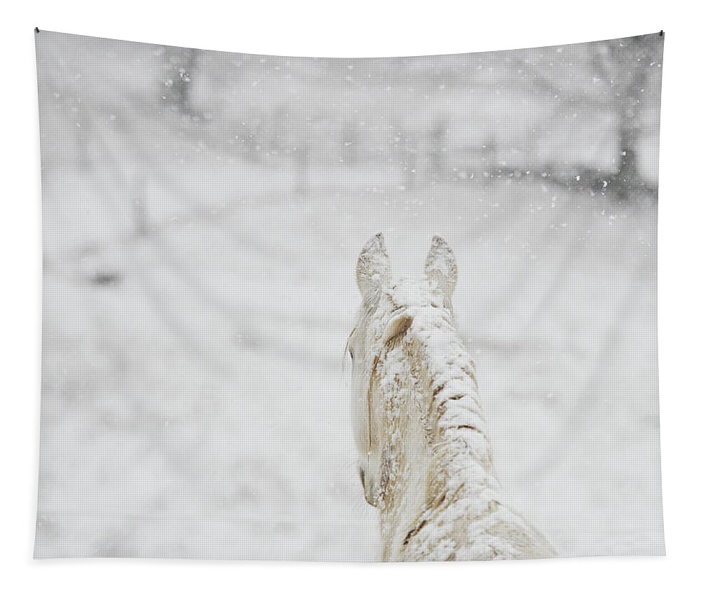 Lipizzan Tapestry featuring the photograph Winter Lipizzan by Carien Schippers