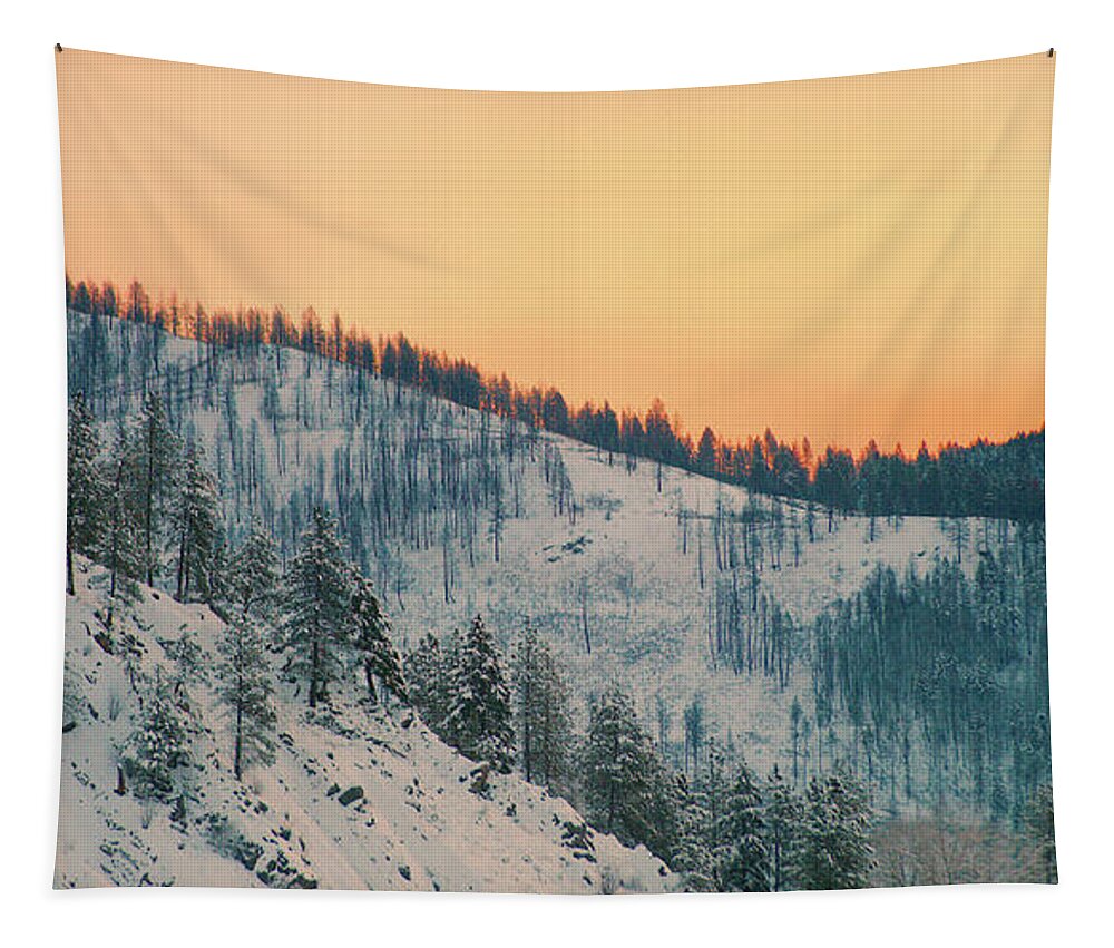 Mountain Tapestry featuring the photograph Winter Mountainscape by Troy Stapek