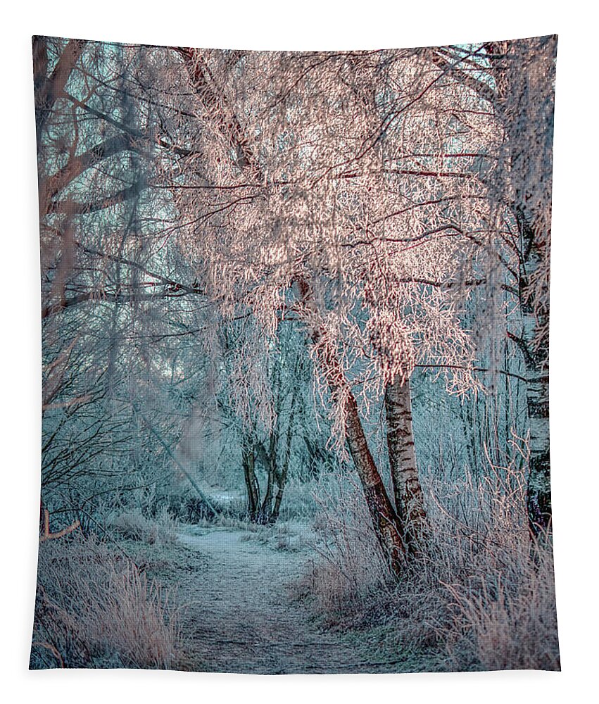 Winter Tapestry featuring the photograph Winter path #h1 by Leif Sohlman