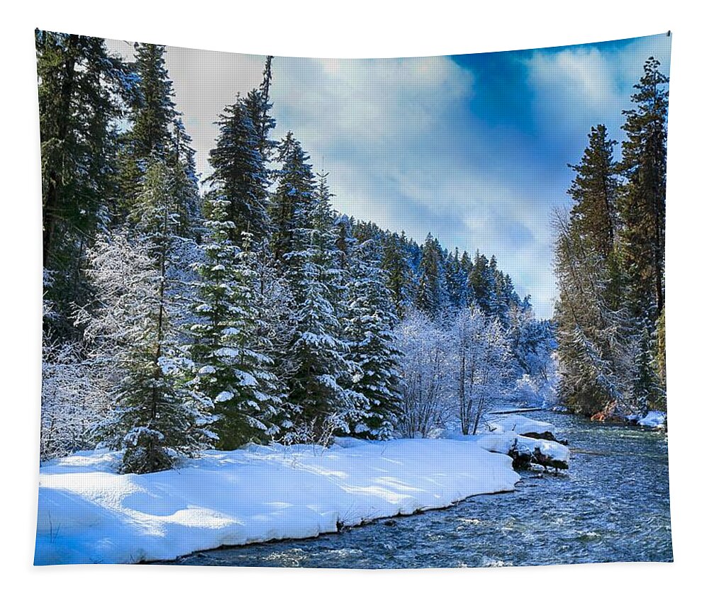 Winter Scene On The River Tapestry featuring the photograph Winter scene on the river by Lynn Hopwood