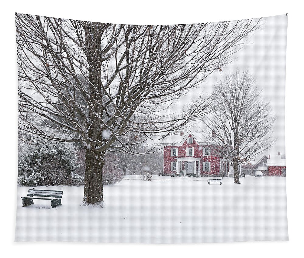 Vermont Tapestry featuring the photograph Winter Scene by Tim Kirchoff