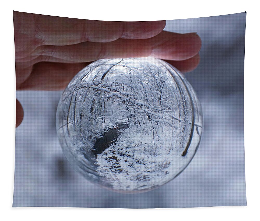 Photo Designs By Suzanne Stout Tapestry featuring the photograph Winter Snow Globe by Suzanne Stout