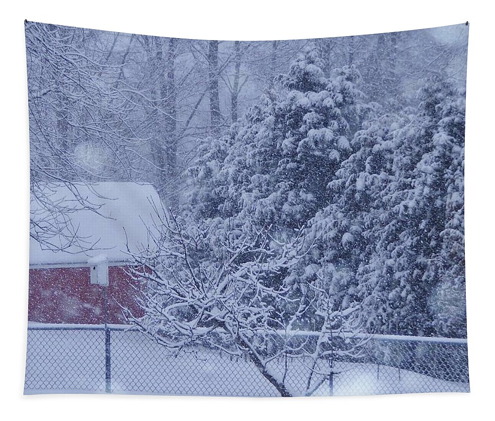 Storm Tapestry featuring the photograph Winter Storm by Lori Kingston