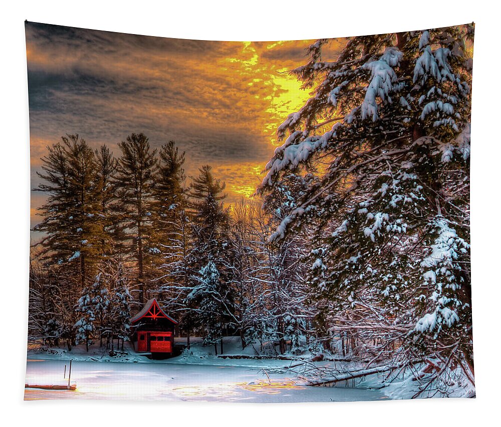 Winter Sun Tapestry featuring the photograph Winter Sun by David Patterson