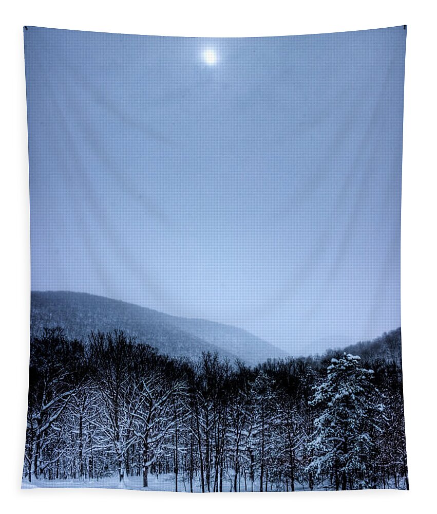 Snow Tapestry featuring the photograph Winter Sun by Jonny D