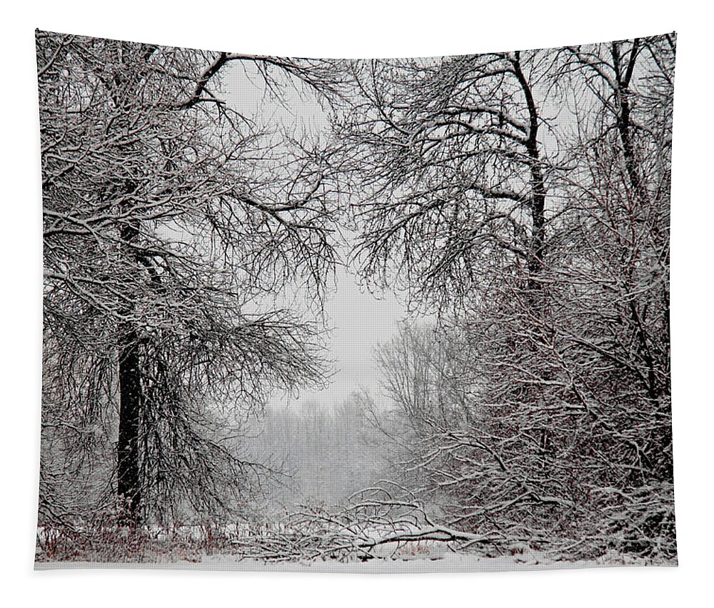 Winter Tapestry featuring the photograph Winter Wonderland II by Nancy Coelho