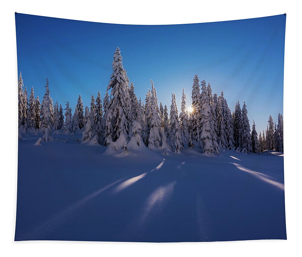 Tree Tapestry featuring the photograph Winter Wonderland by Pelo Blanco Photo