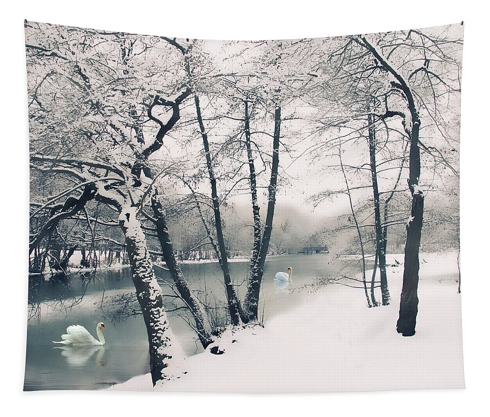 Winter Tapestry featuring the photograph Winter's Grace by Jessica Jenney