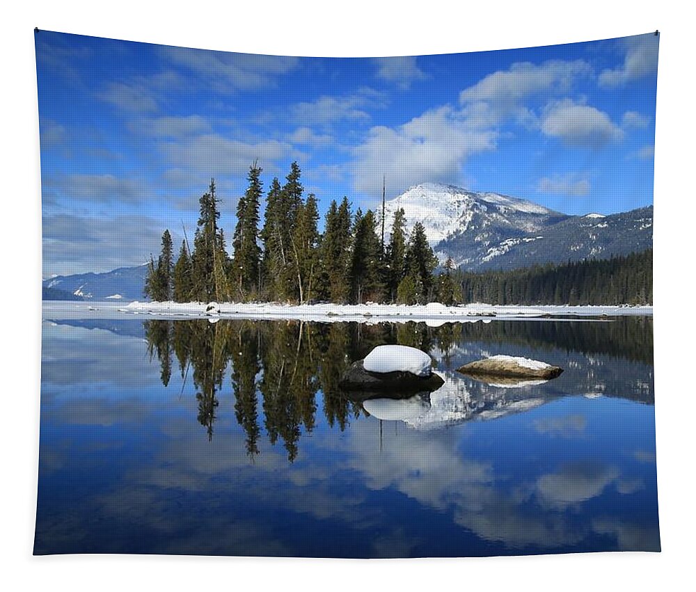 Winters Mirror Tapestry featuring the photograph Winters mirror by Lynn Hopwood