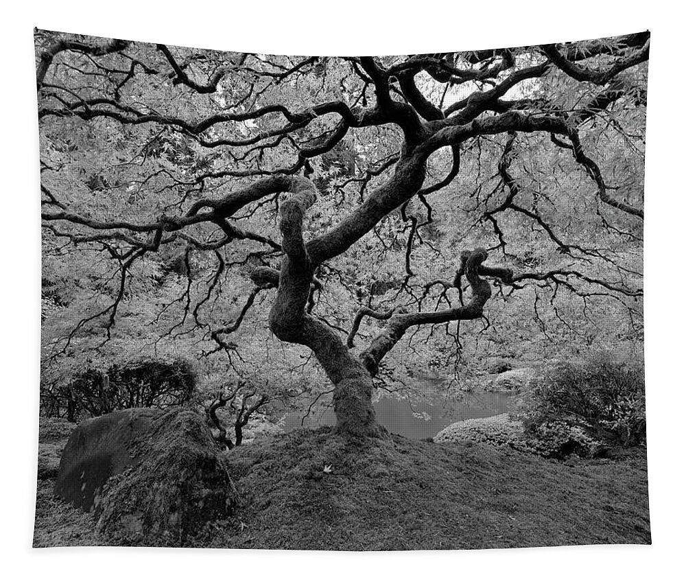Black And White Tapestry featuring the photograph Wisdom BW by Jonathan Davison