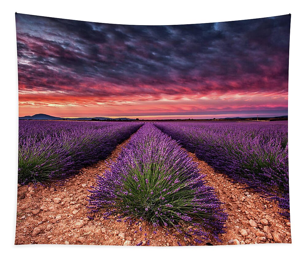 Landscape Tapestry featuring the photograph Wonderful World by Jorge Maia