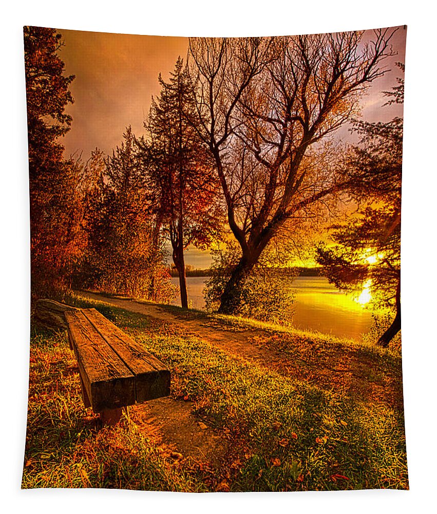 Bench Tapestry featuring the photograph Won't You Please Come Home by Phil Koch