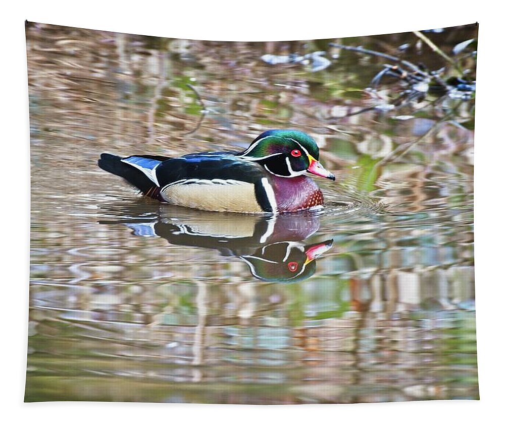 Wood Duck Tapestry featuring the photograph Wood Drake by Allan Van Gasbeck