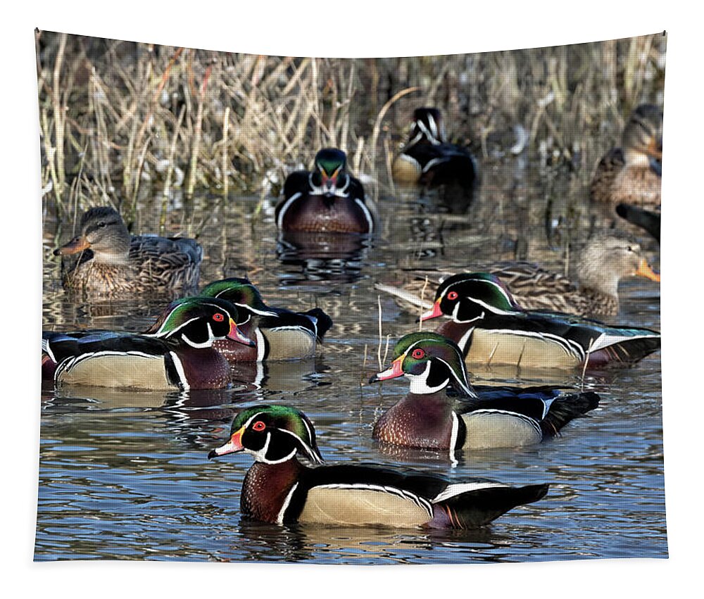 Wood Ducks Tapestry featuring the photograph Wood Ducks on the Mill Pond by Kathleen Bishop